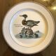 Lot of 4 plates Villeroy and Boch paradiso