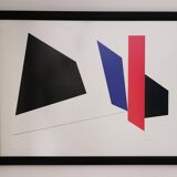 Screen printing by Geneviève CLAISSE