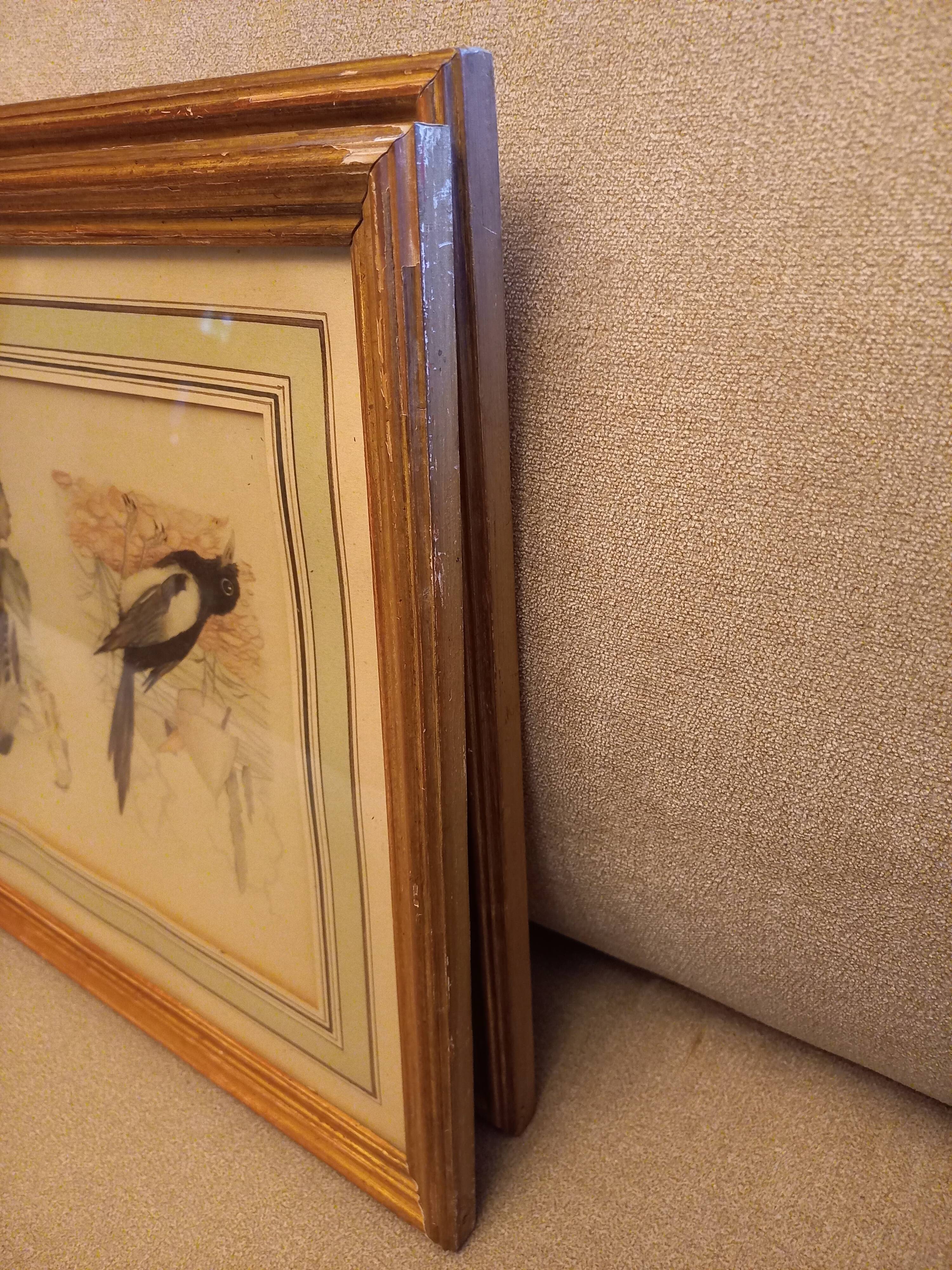 Lot 2 watercolors ancient birds