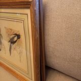 Lot 2 aquarelles oiseaux anciennes