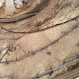 Asian straw and rattan hat