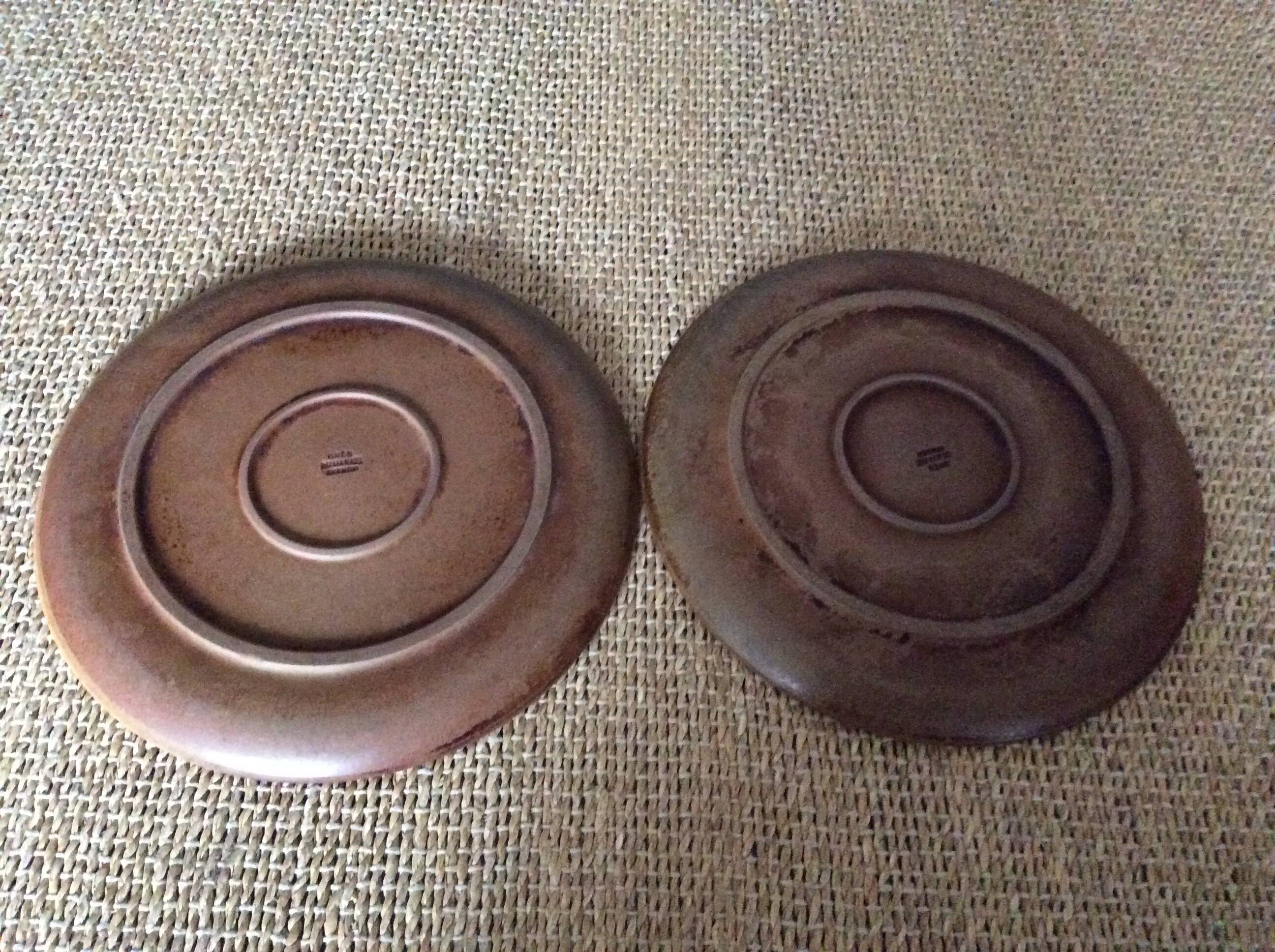 2 stoneware dinner plates