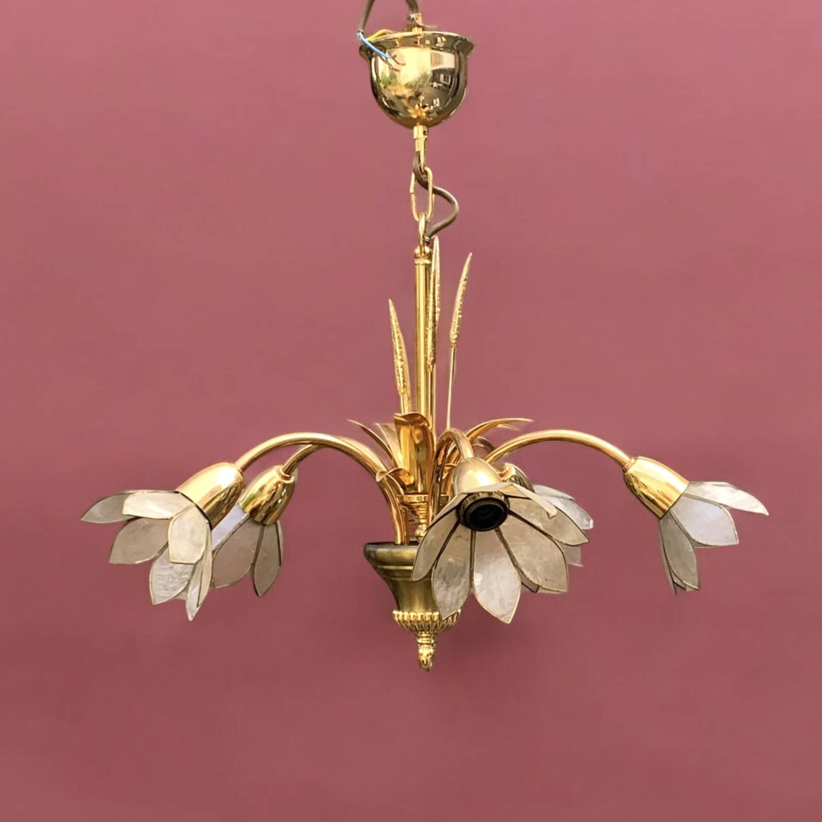 Vintage chandelier in gold metal and mother-of-pearl petals - 5 branches