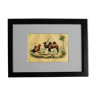Planche zoologique originale "Dromadaire & Chameau" Buffon 1840