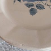 Old flat plates Digoin Sarreguemines