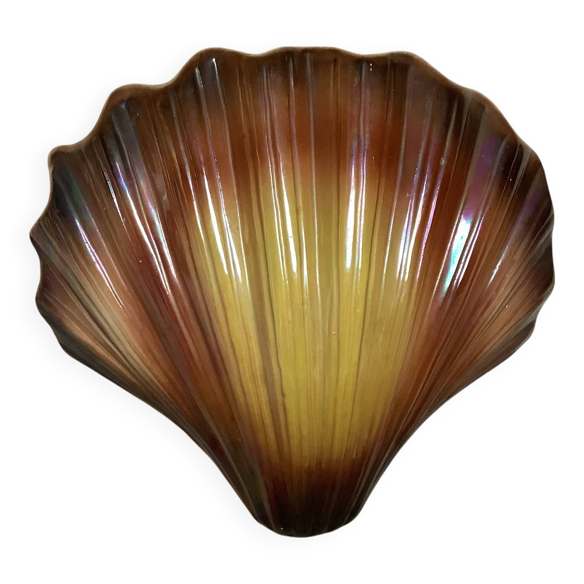 Scallop shell flower vase