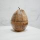 Vintage Coconut Ice Bucket