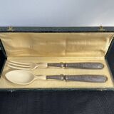 Covered with fish service, stuffed silver, Ivorian, France