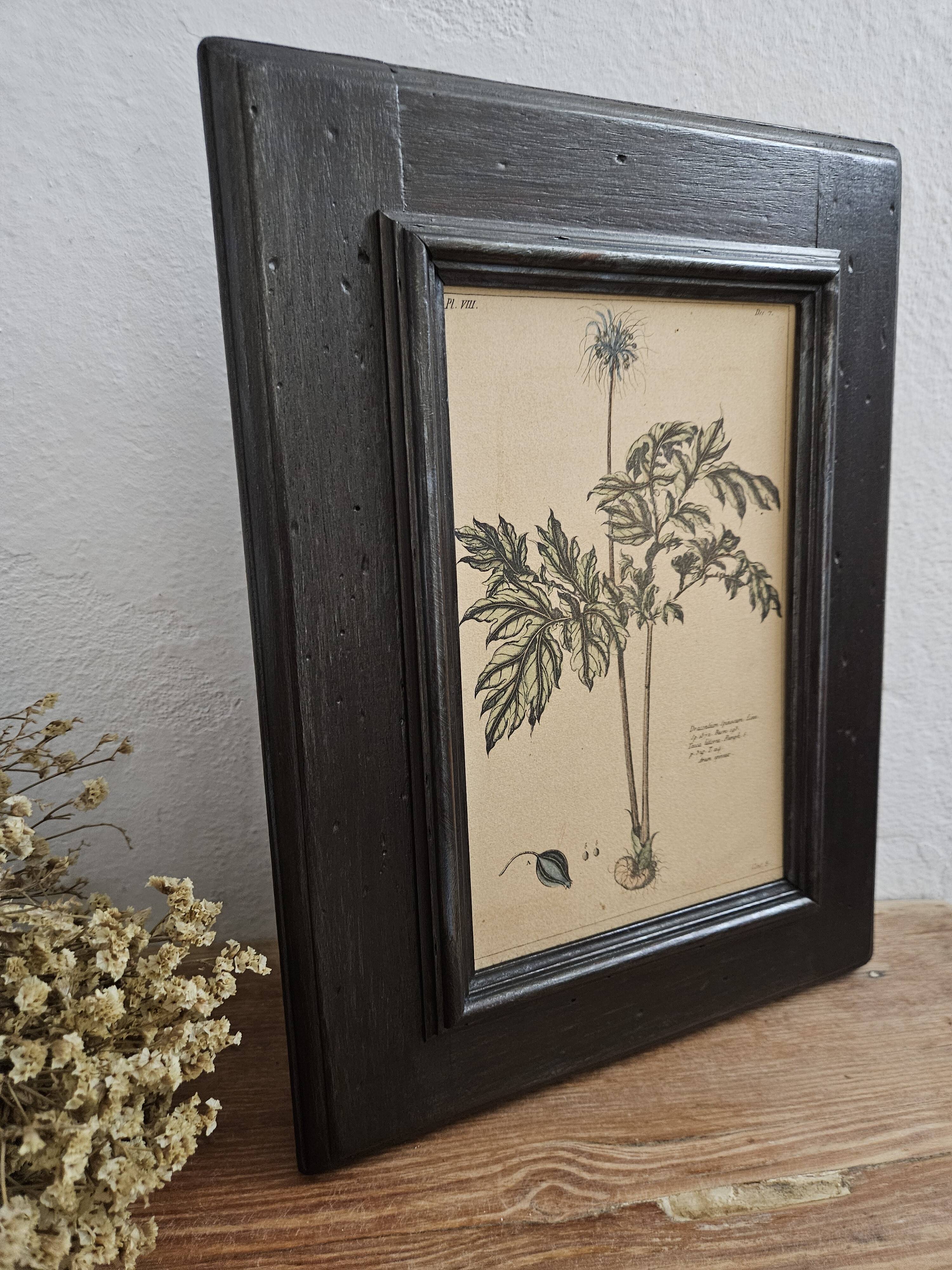 Framed botanical board frame