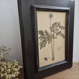 Framed botanical board frame