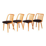 Set of Four Wooden Chairs | Antonín Šuman, 20th Century