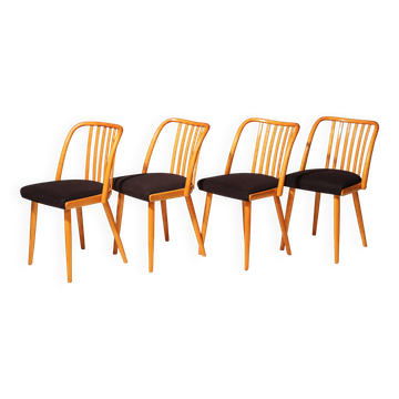Set of Four Wooden Chairs | Antonín Šuman, 20th Century