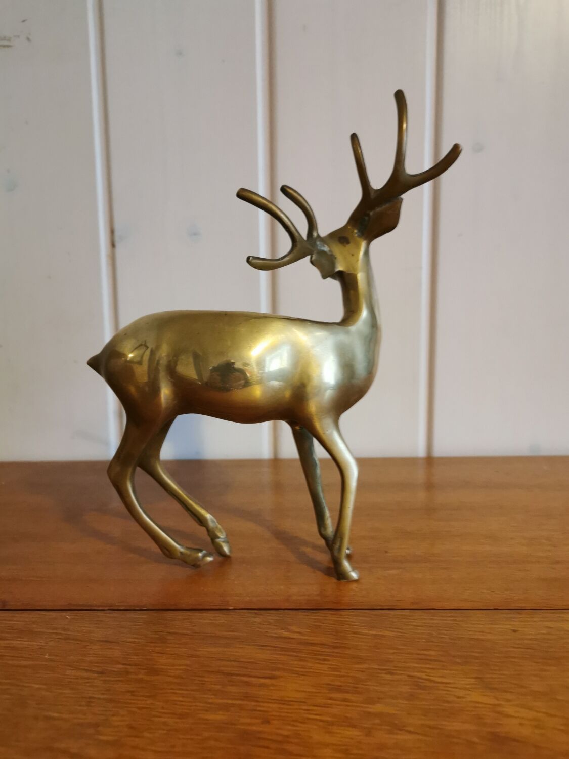 Young golden brass deer