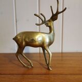 Young golden brass deer