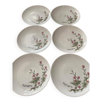 Lot de 6 assiette Winterling porcelain, Roslau, Bavaria, vintage, porcelaine, assiettes, plate