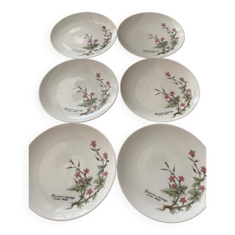 Winterling porcelain, Roslau, Bavaria, vintage, porcelain, plates, plate