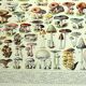 Gravure botanique 1928 A. Millot - Champignons 1, cueillette, mycologie