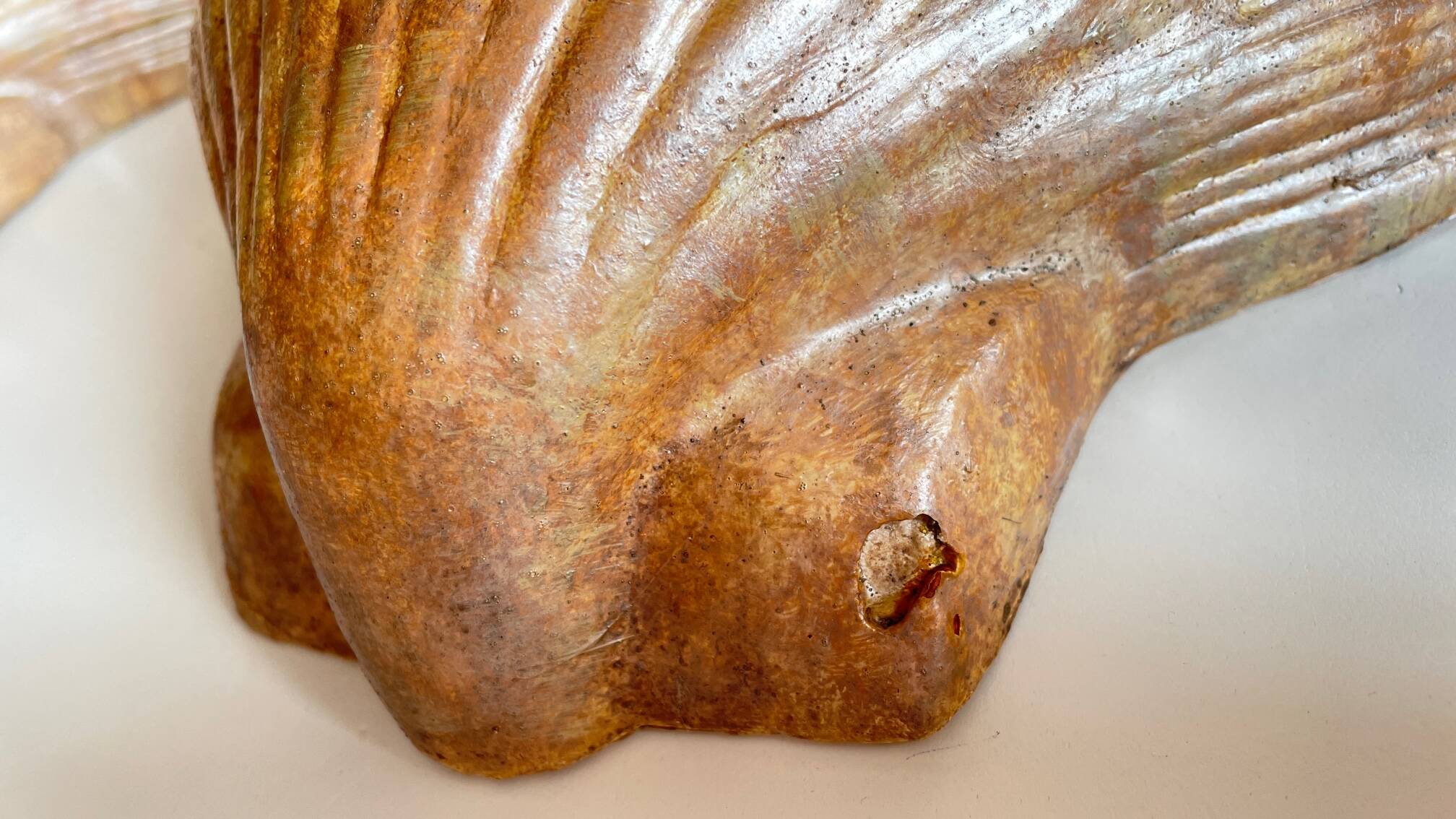 Shell wall enameled by aljezur