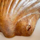 Shell wall enameled by aljezur