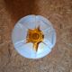 Mazzega designer wall lamp, Murano glass
