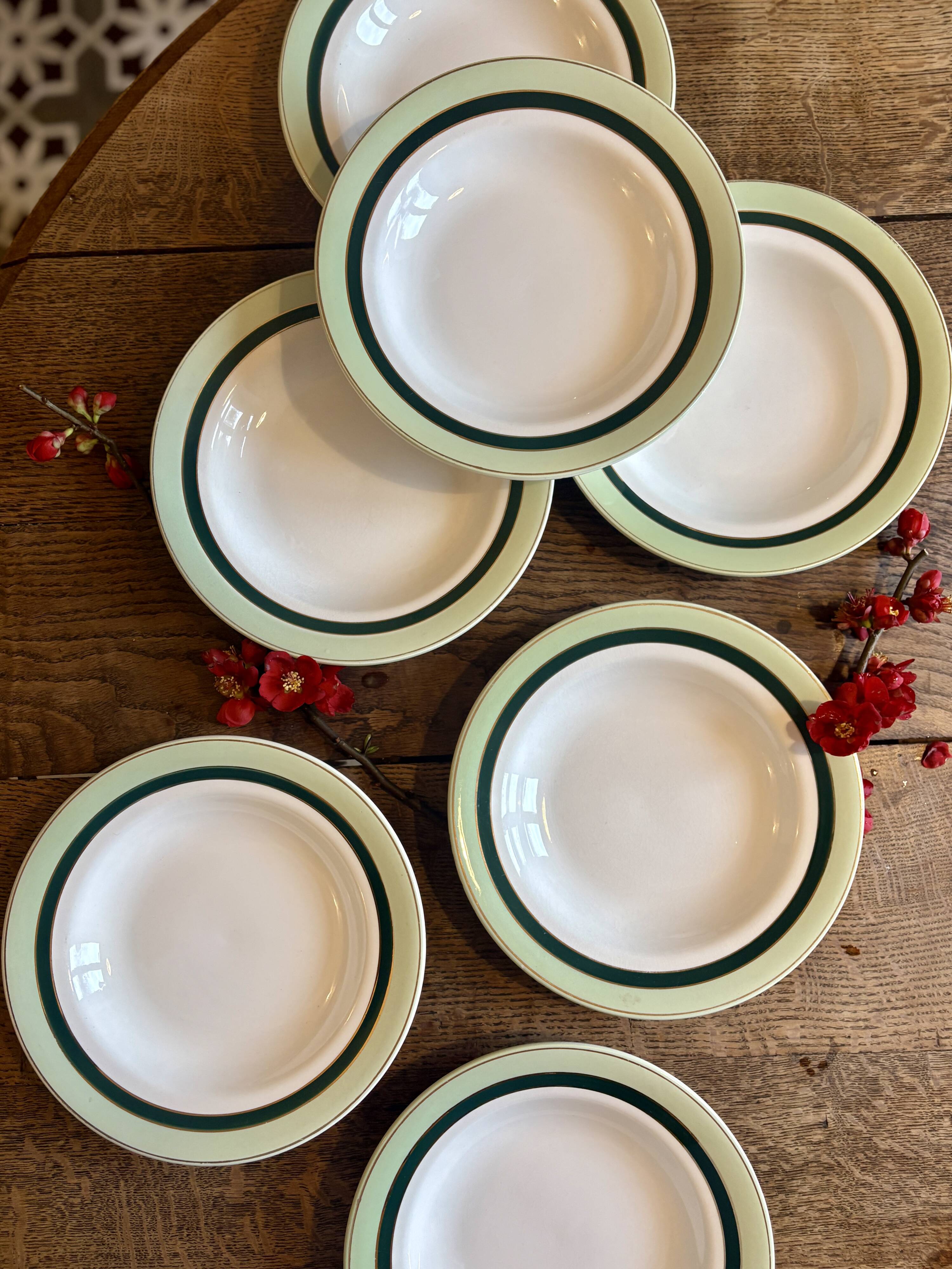 Set of 7 antique deep plates Salins - green Texas -