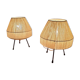 Scandinavian lamp