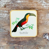 Box of 6 coasters bird motif