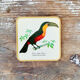 Box of 6 coasters bird motif