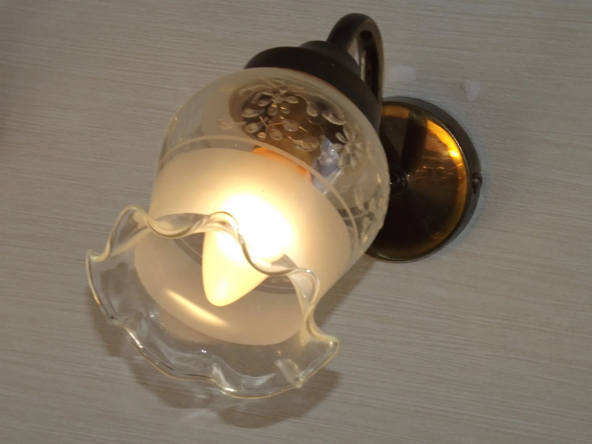 Pair of French Vintage Bronze Effect Metal Wall LIghts Floral Glass Shades