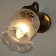 Pair of French Vintage Bronze Effect Metal Wall LIghts Floral Glass Shades