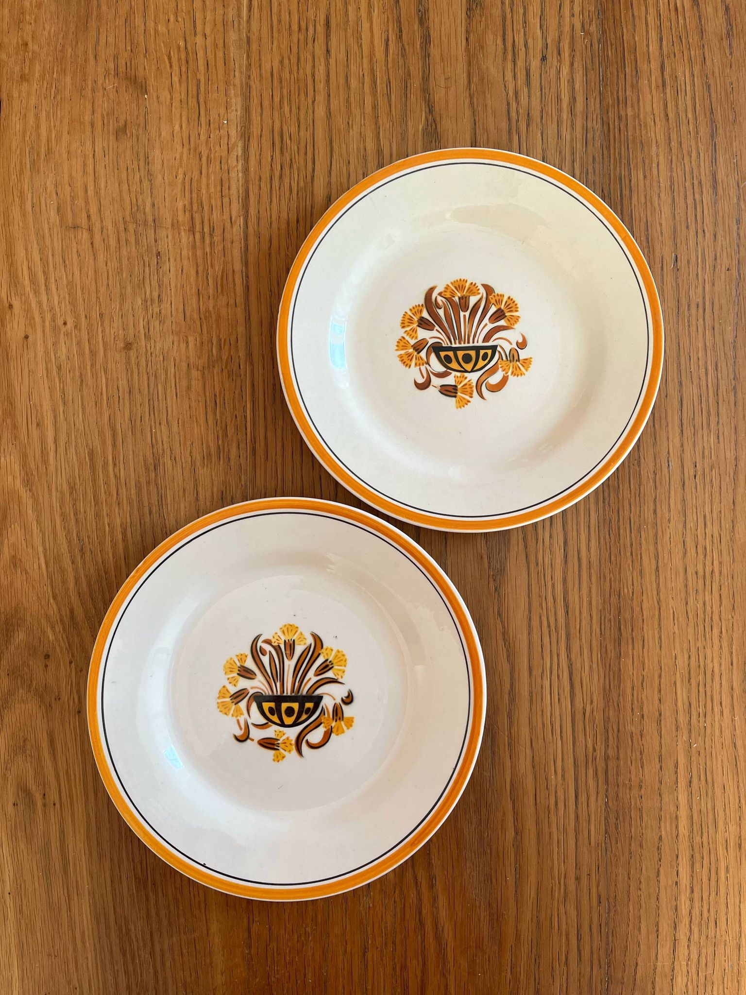 2 flat ironstone plates, Carnations, Creil and Montereau