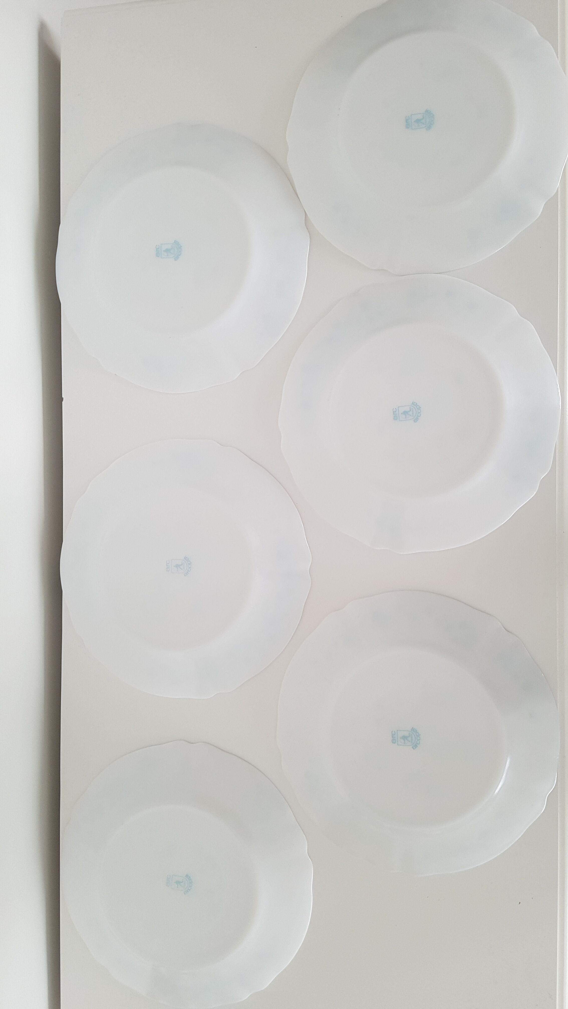 6 flat plates Myosotis veronica Arcopal