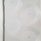 6 flat plates Myosotis veronica Arcopal