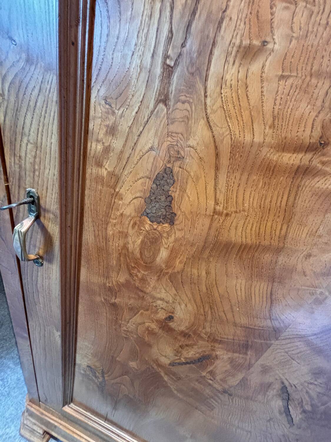 Elm burl cabinet