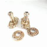 Gold door handles