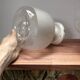 Paire d’appliques murales globes bicolores