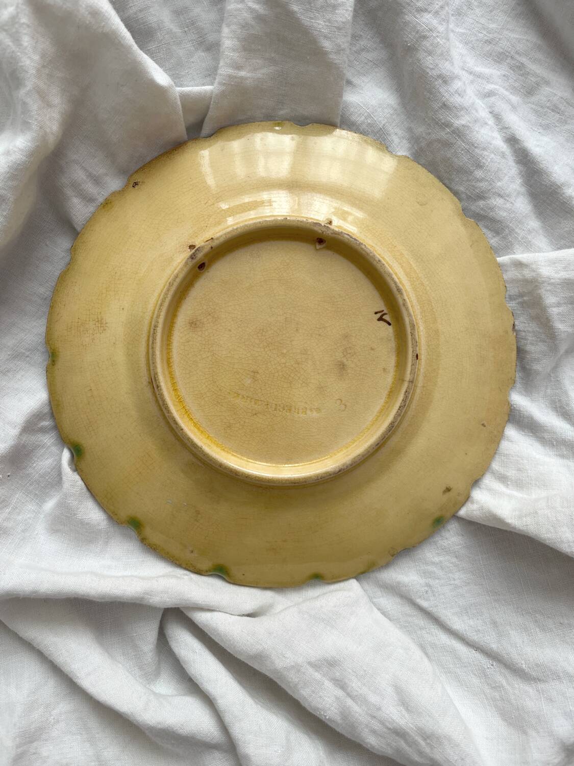 Old plate of vine leaf slip from Sarreguemines