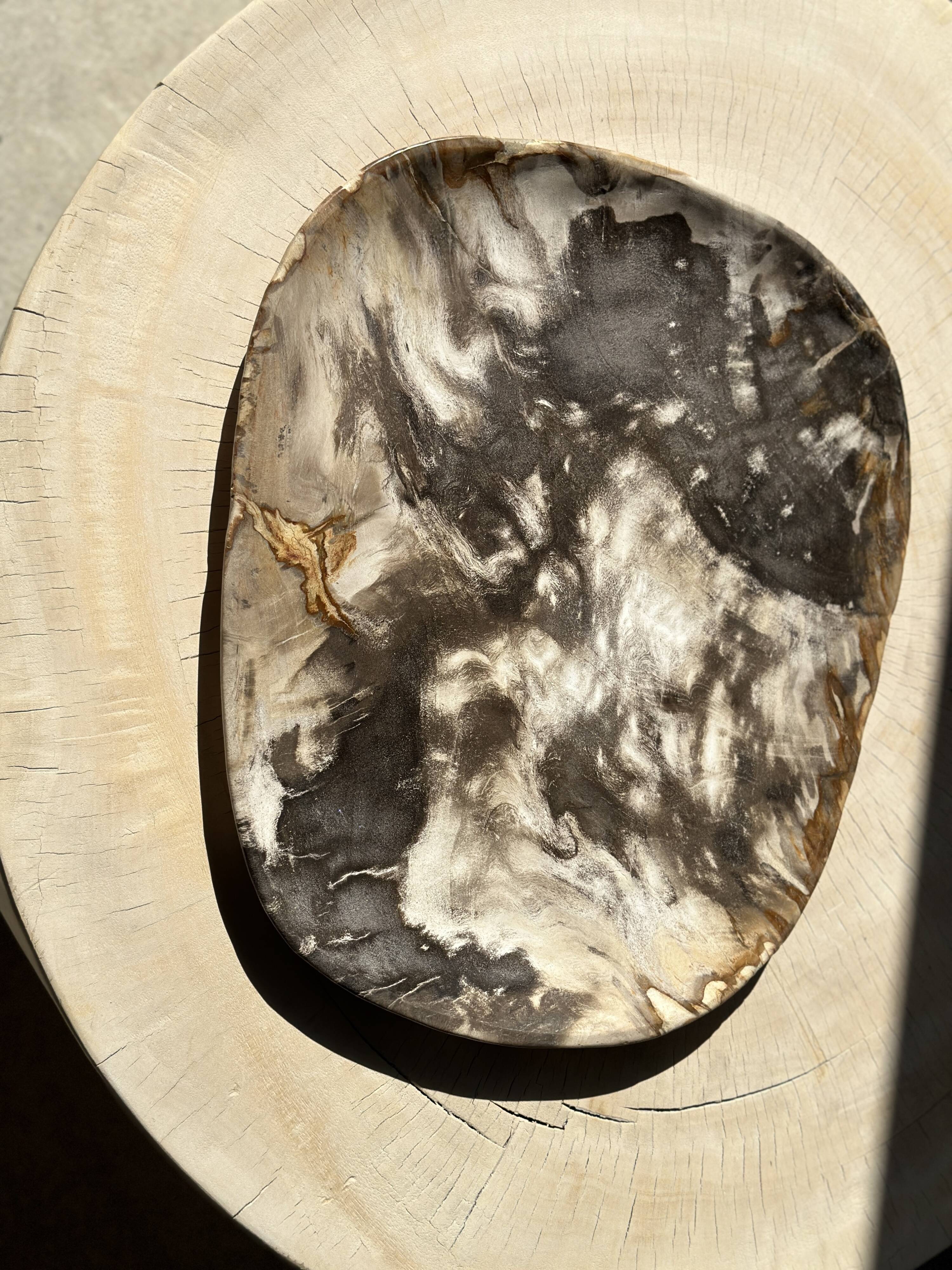 Very large pocket or dish in petrified wood