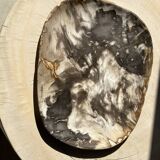 Very large pocket or dish in petrified wood