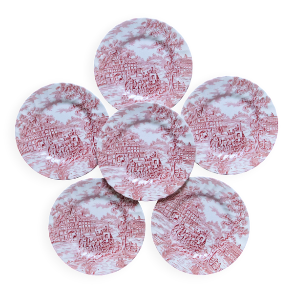 Assiettes anciennes anglaises Myott Staffordshire terre de fer rose