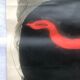 Poster Georges Braque litho offset 1956 - Three red birds -