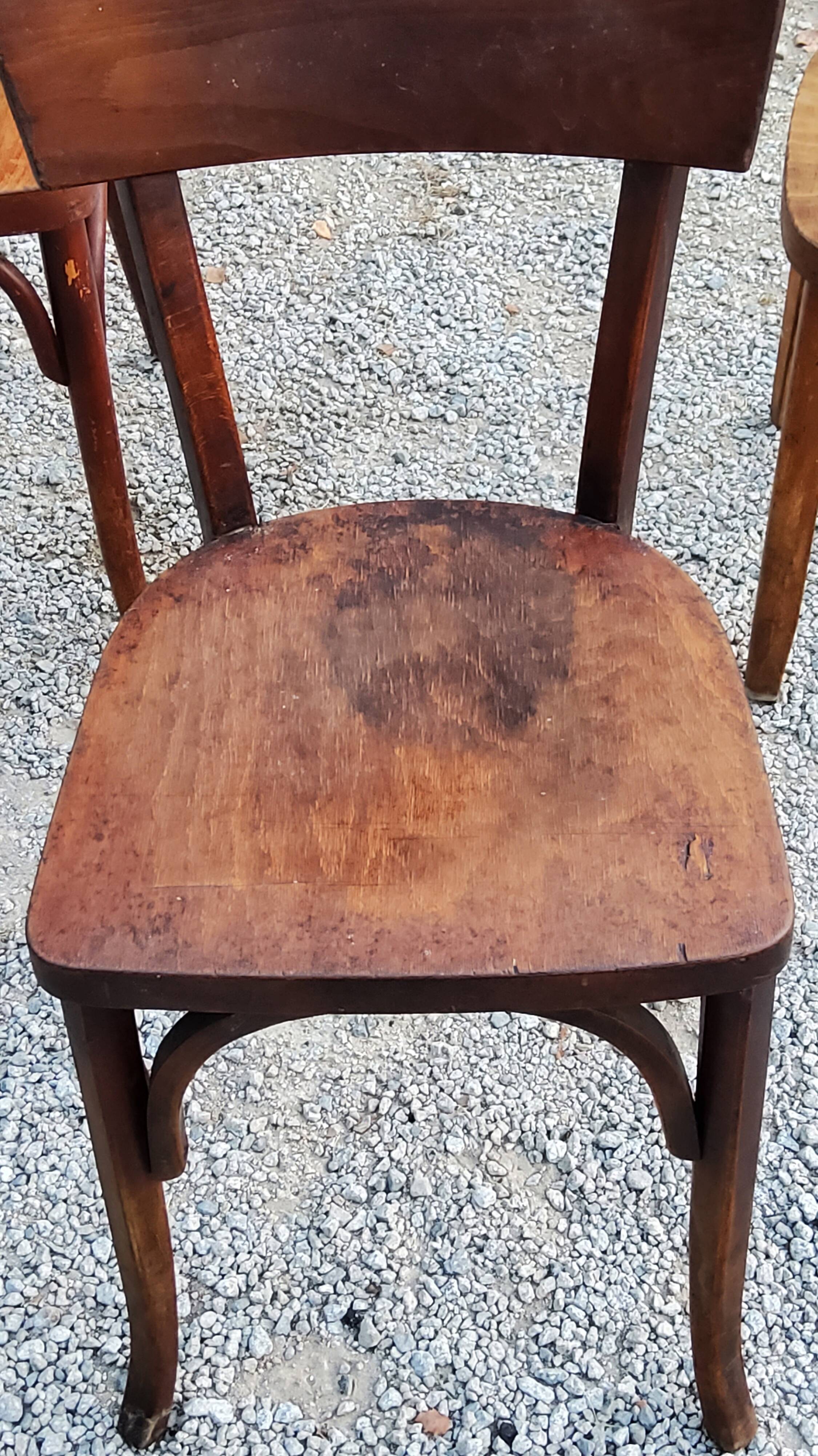 Set of 5 Stella Thonet bistro chairs from the 1950s