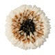 Juju hat beige 50 cm
