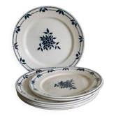 Old plates Badonviller blue flowers