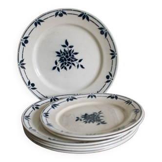 Old plates Badonviller blue flowers