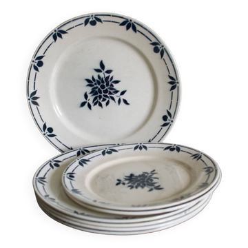 Old plates Badonviller blue flowers