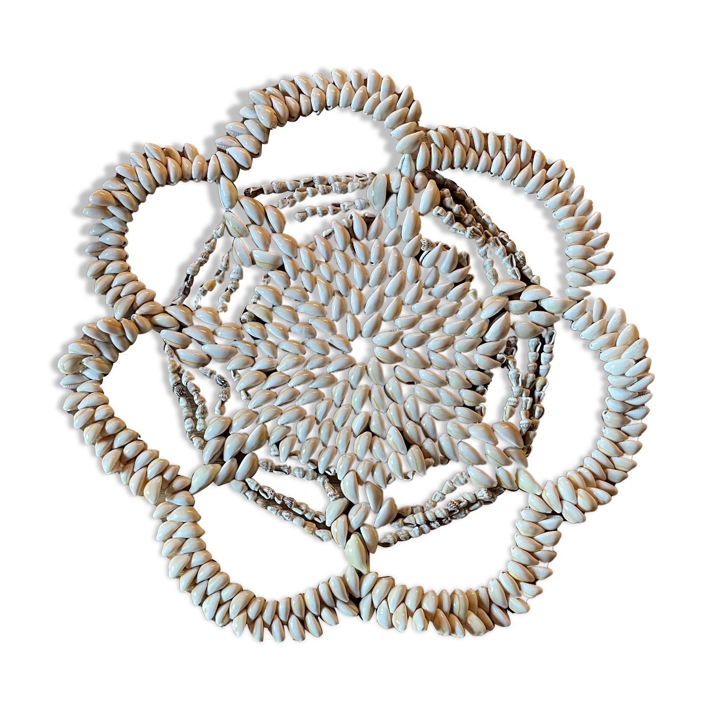 Vintage shell bottom