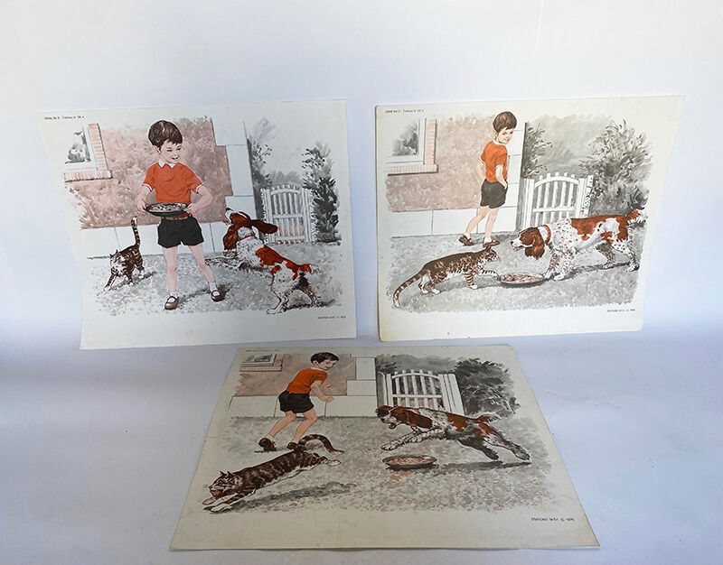 Set of 3 posters Animals & sport