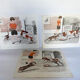 Lot de 3 affiches Animaux & sport