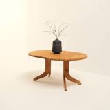 Solid Pine Dining Set by Rainer Daumiller for Hirtshals Savvaerk, Denmark